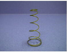 Apertura de la primavera image