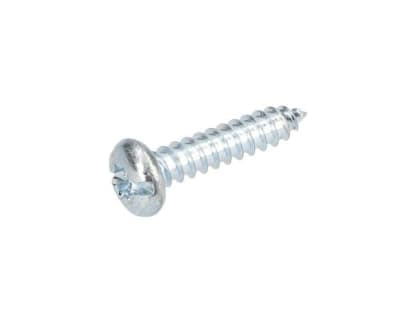 Vite a testa bombata Torx 1613435012 image