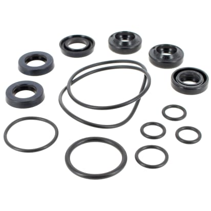 Guarnizioni della valvola (set) image