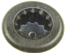 Allenatore donna image