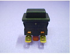 Interruptor negro de 2 polos 00031598 image