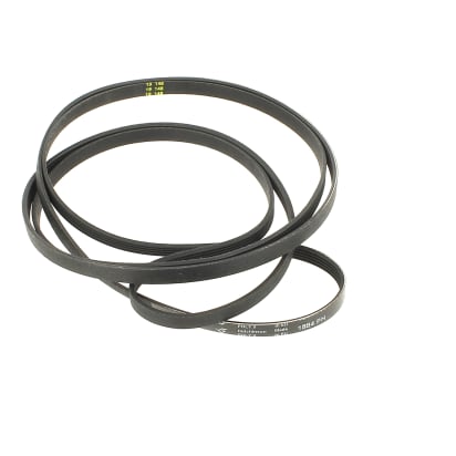 Cinturón 1884h5 image