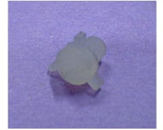 Valvola filtro image