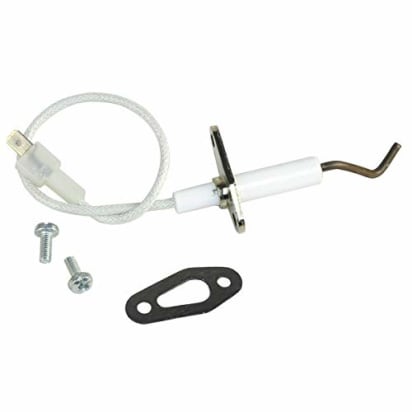 Elettrodo di ionizzazione 60000867-01 image