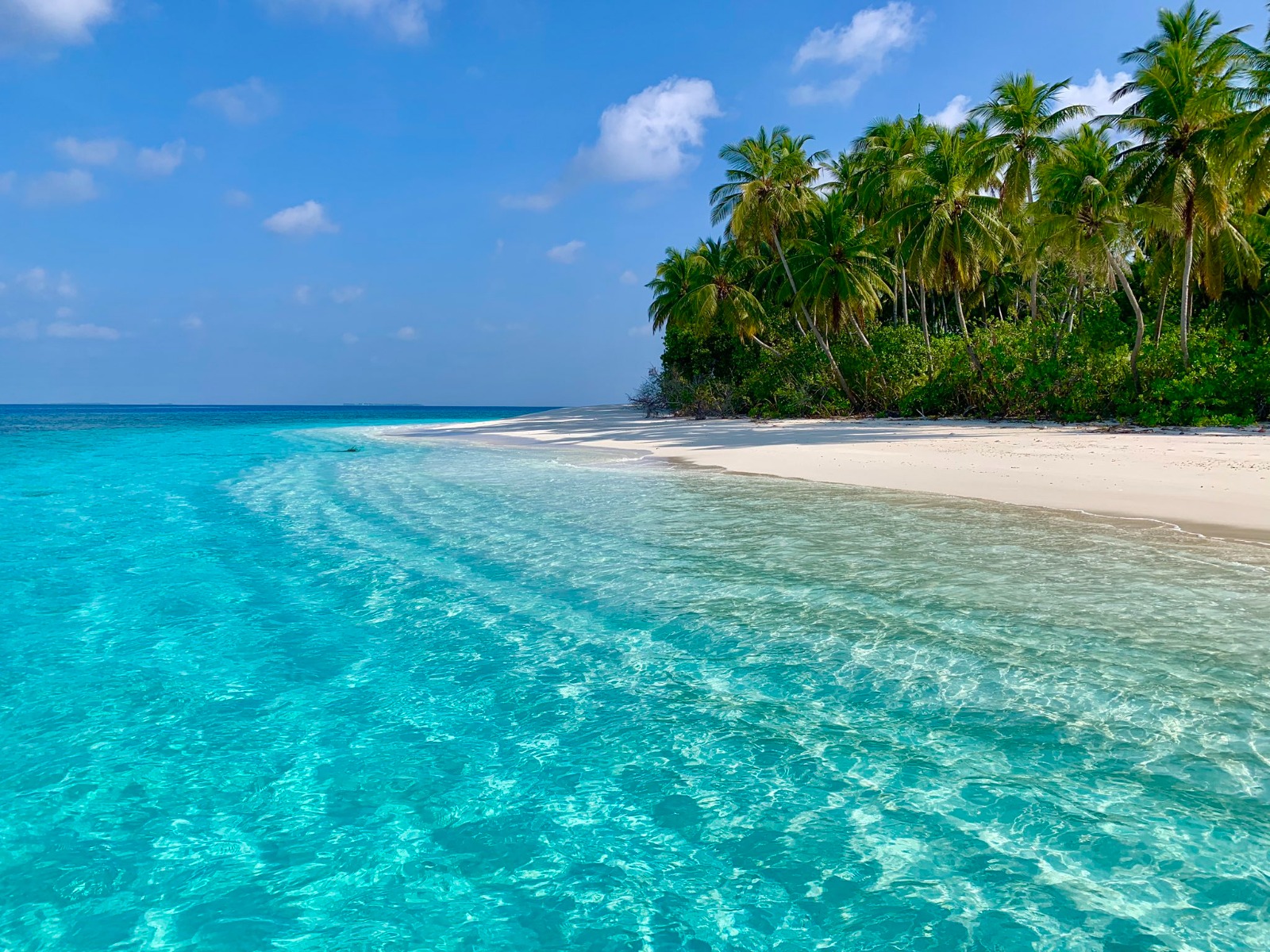 Adhadhu 25 Uninhabited Islands Offered To Councils For Research And 