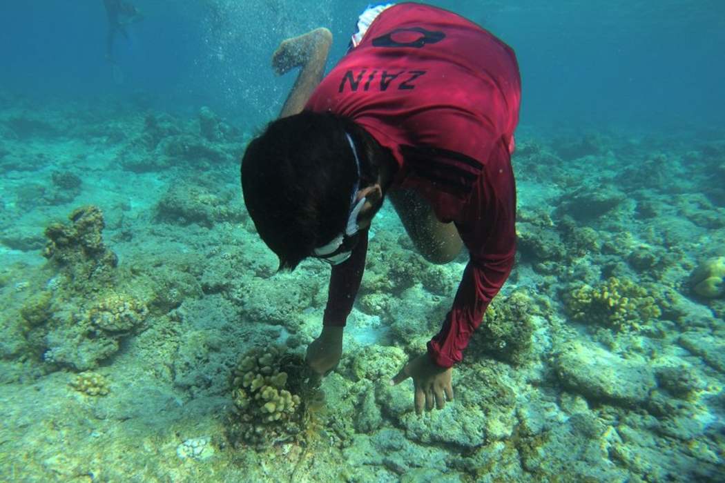 Milandhoo Farah Eri Tug Boat eh 12 Million Rufiyaa in Joorimanaa Kohfi 