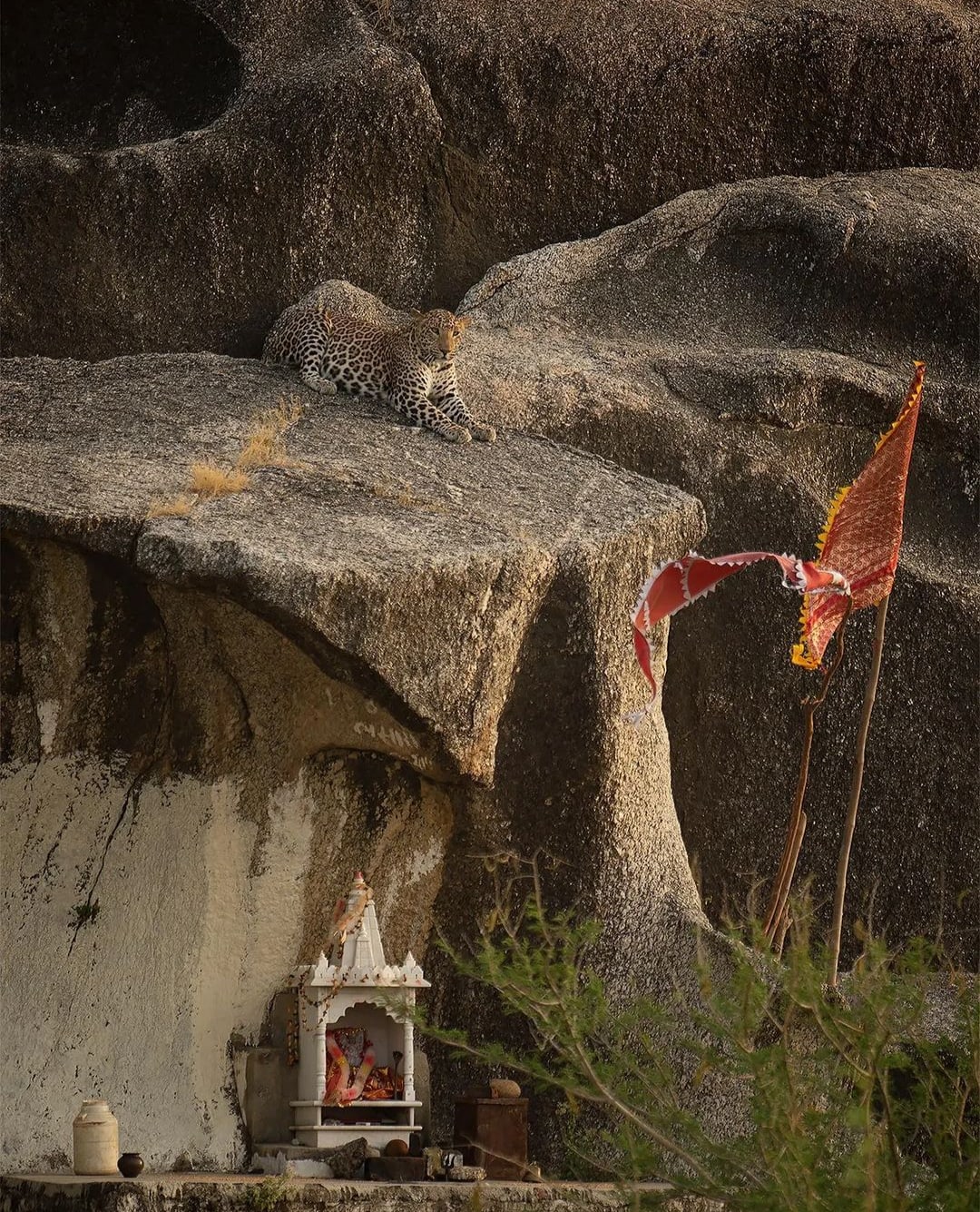 Dharma Sarvopari