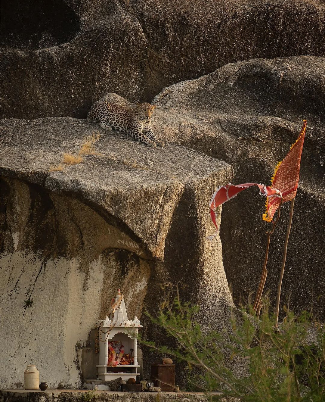 Dharma Sarvopari