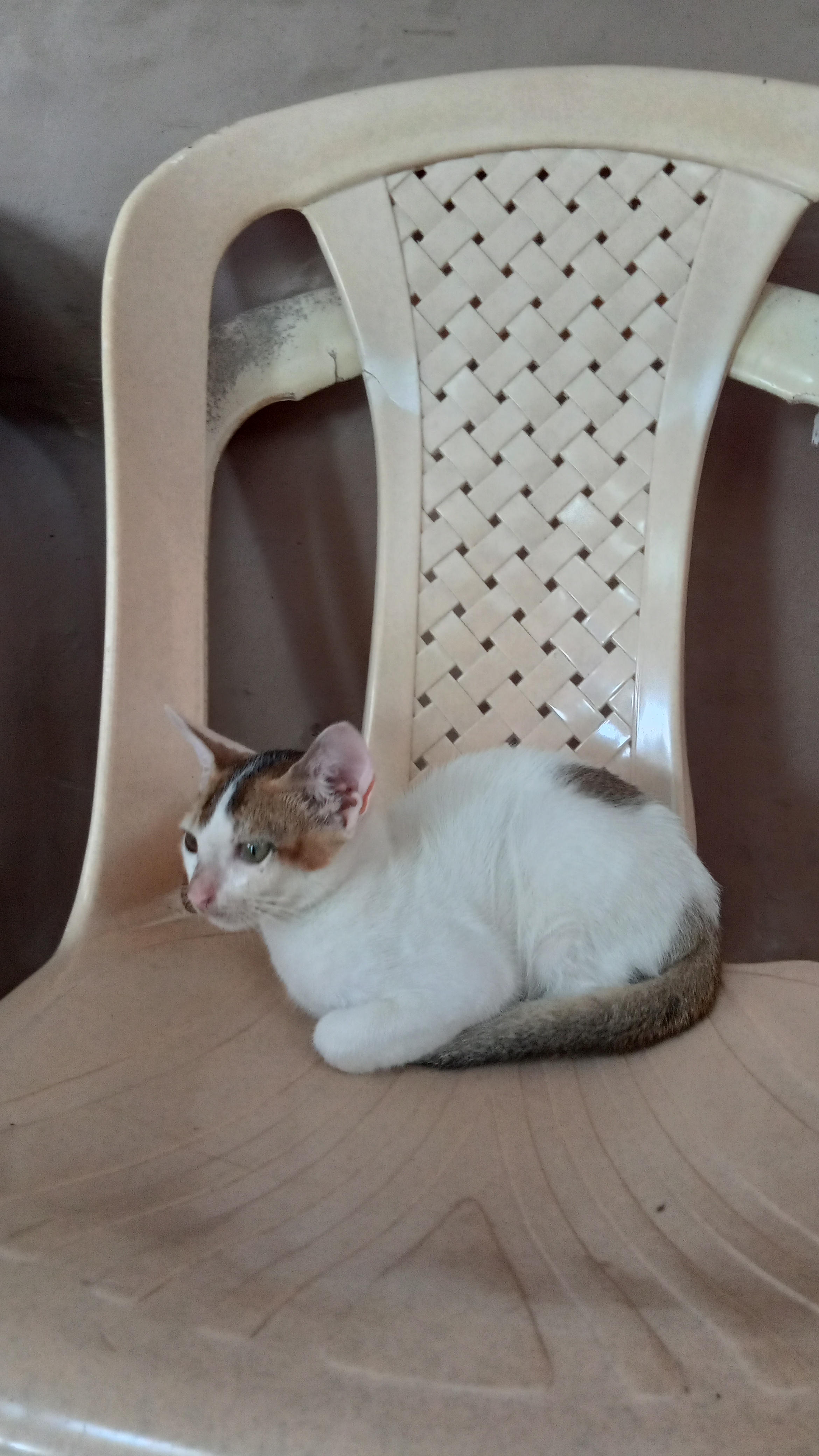 Chilling out.