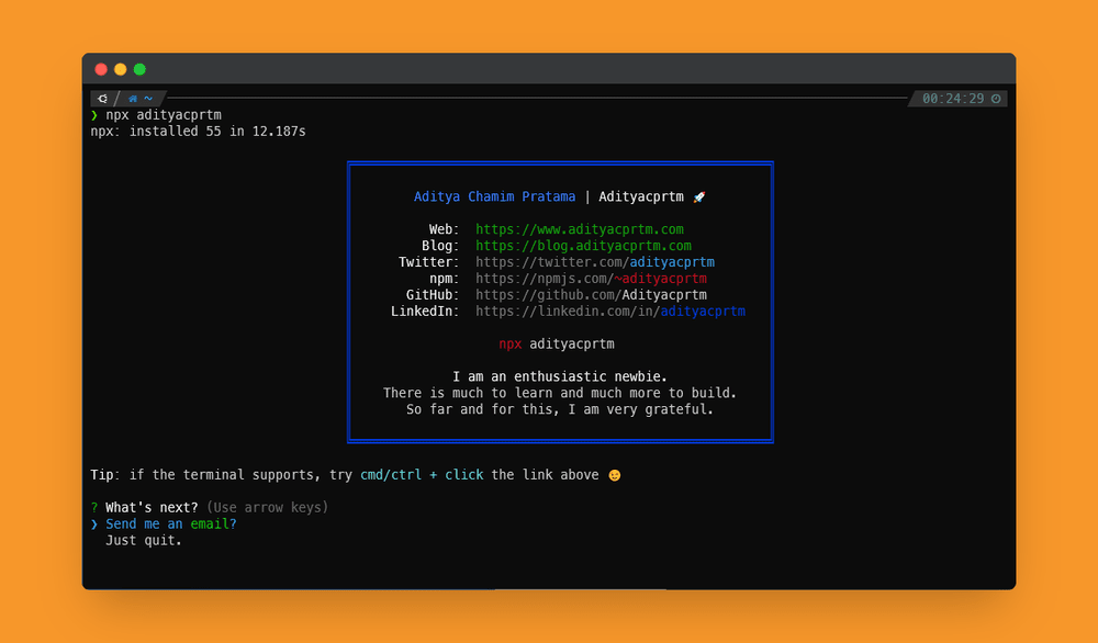 NPM Card (npx adityacprtm)