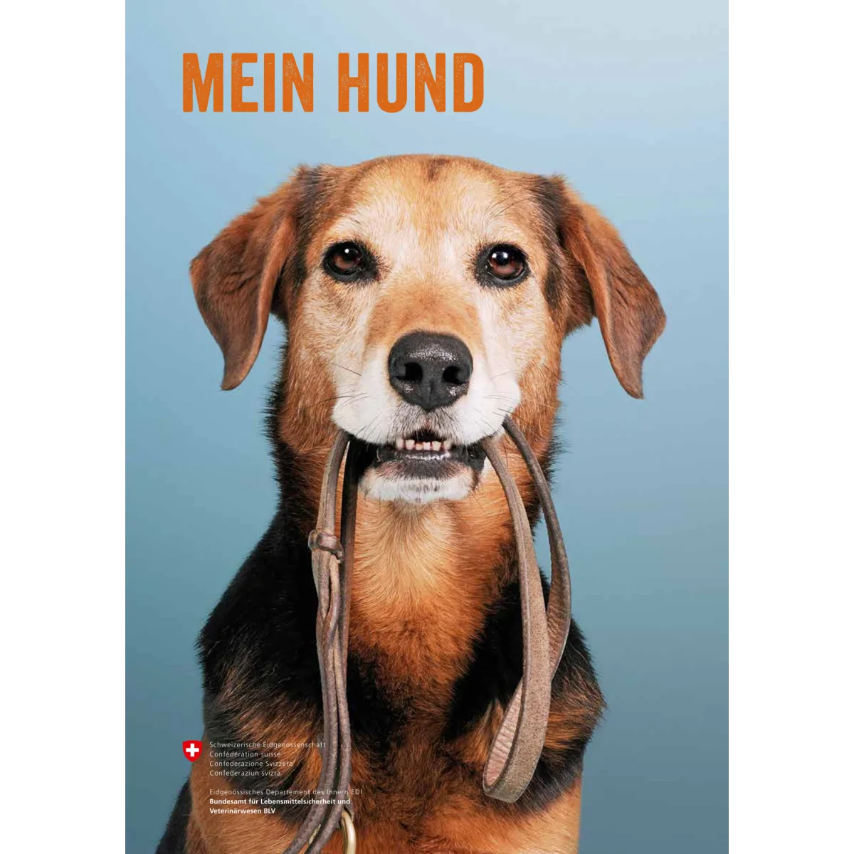 Mein Hund