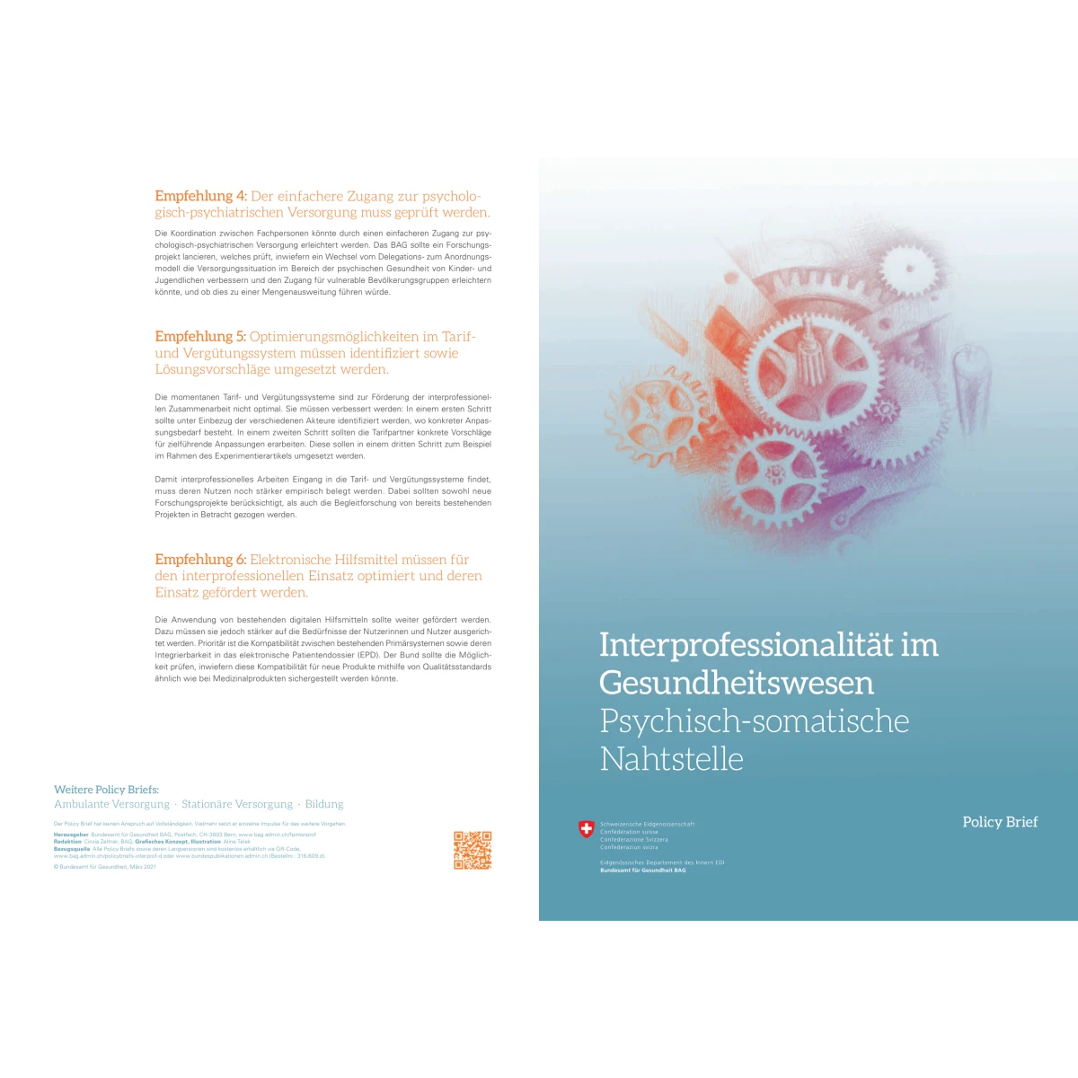 Policy Brief - Psychisch-som. Nahtstelle