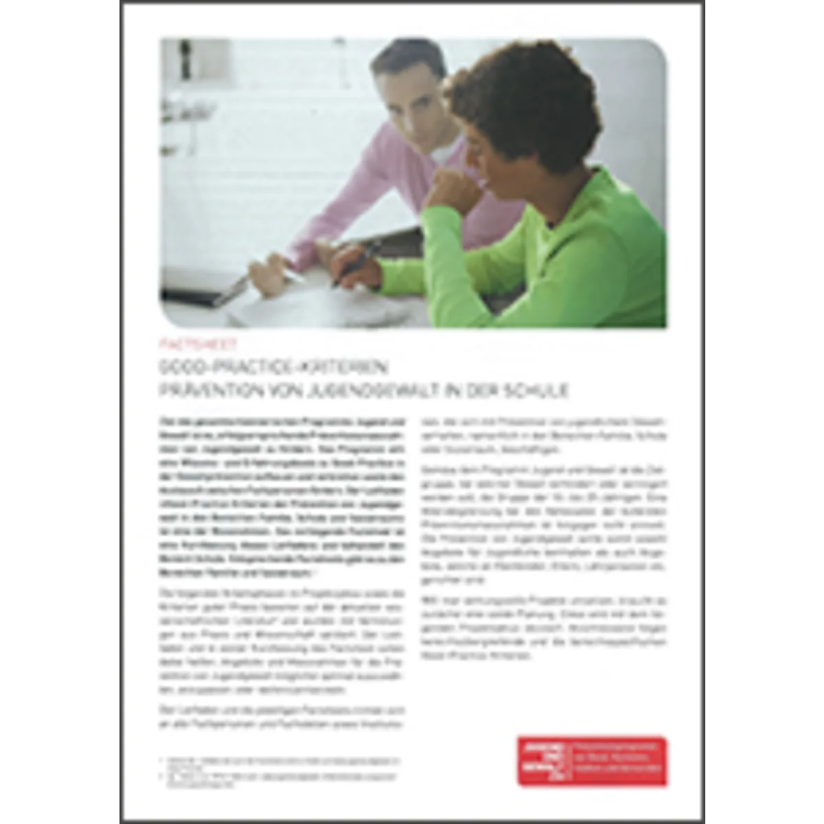 Factsheet Good-Practice, Schule