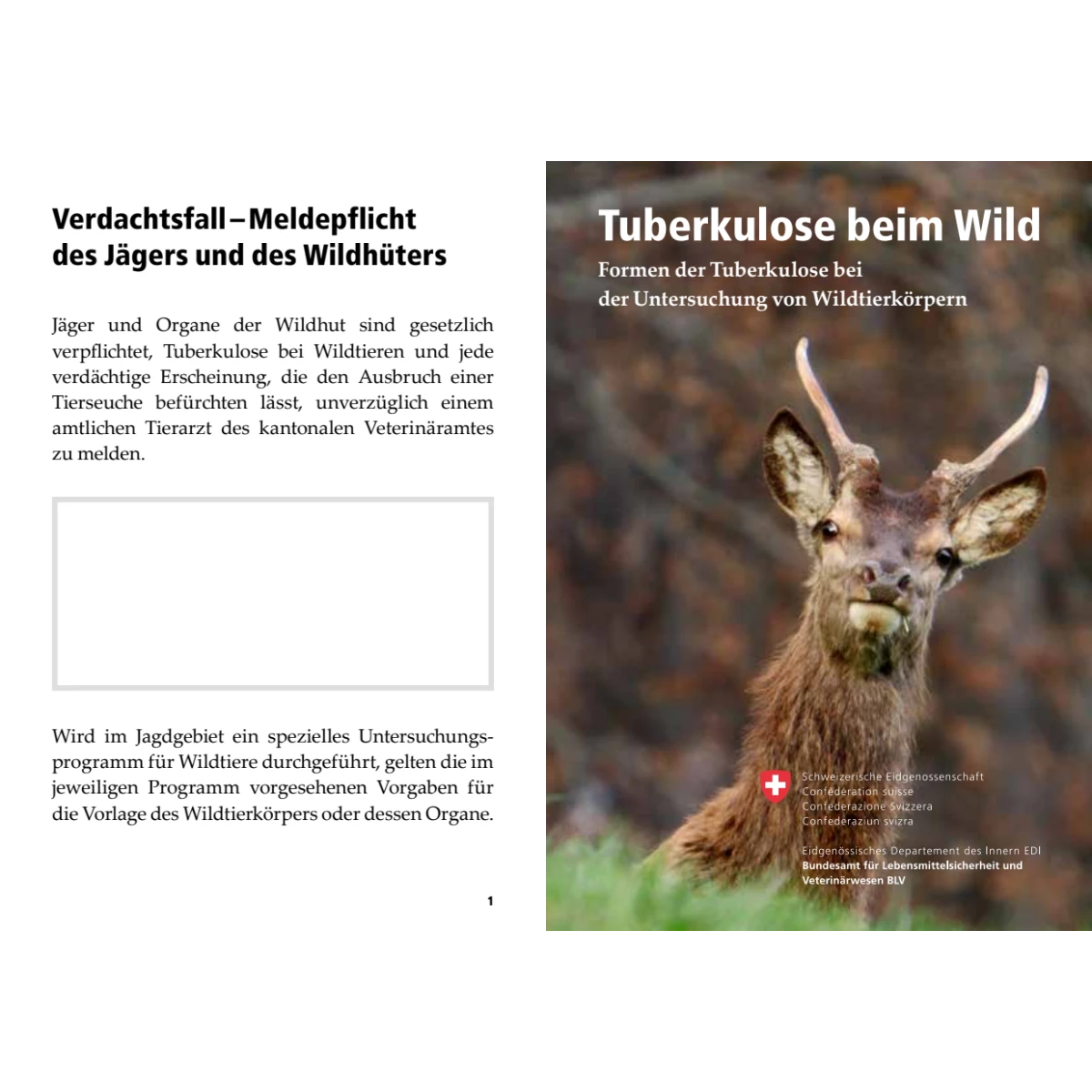 Tuberkulose beim Wild - Booklet