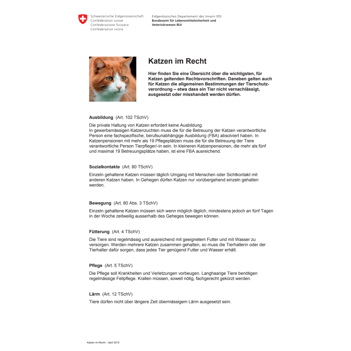 Merkblatt Katzen im Recht