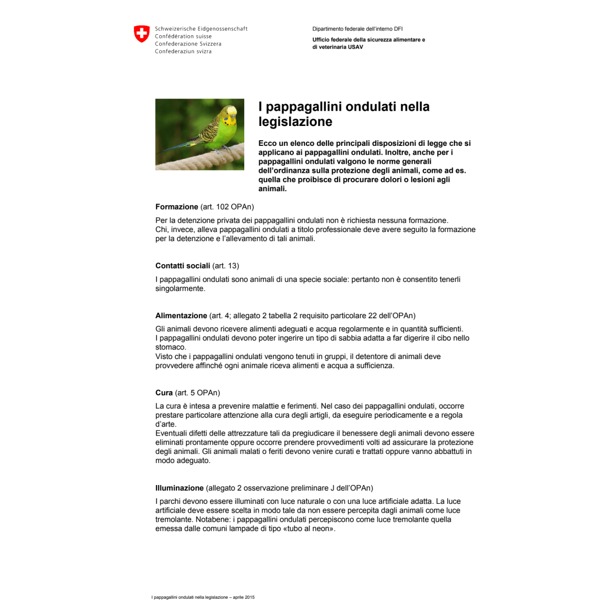 I pappagallini ondulati legislazione