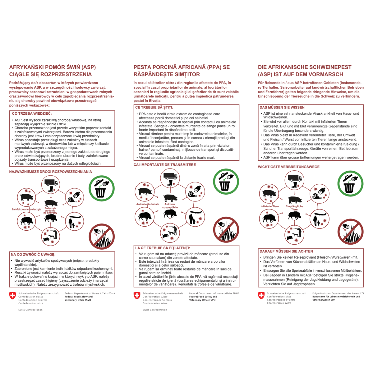 Die Afrikanische Schweinepest (ASP)