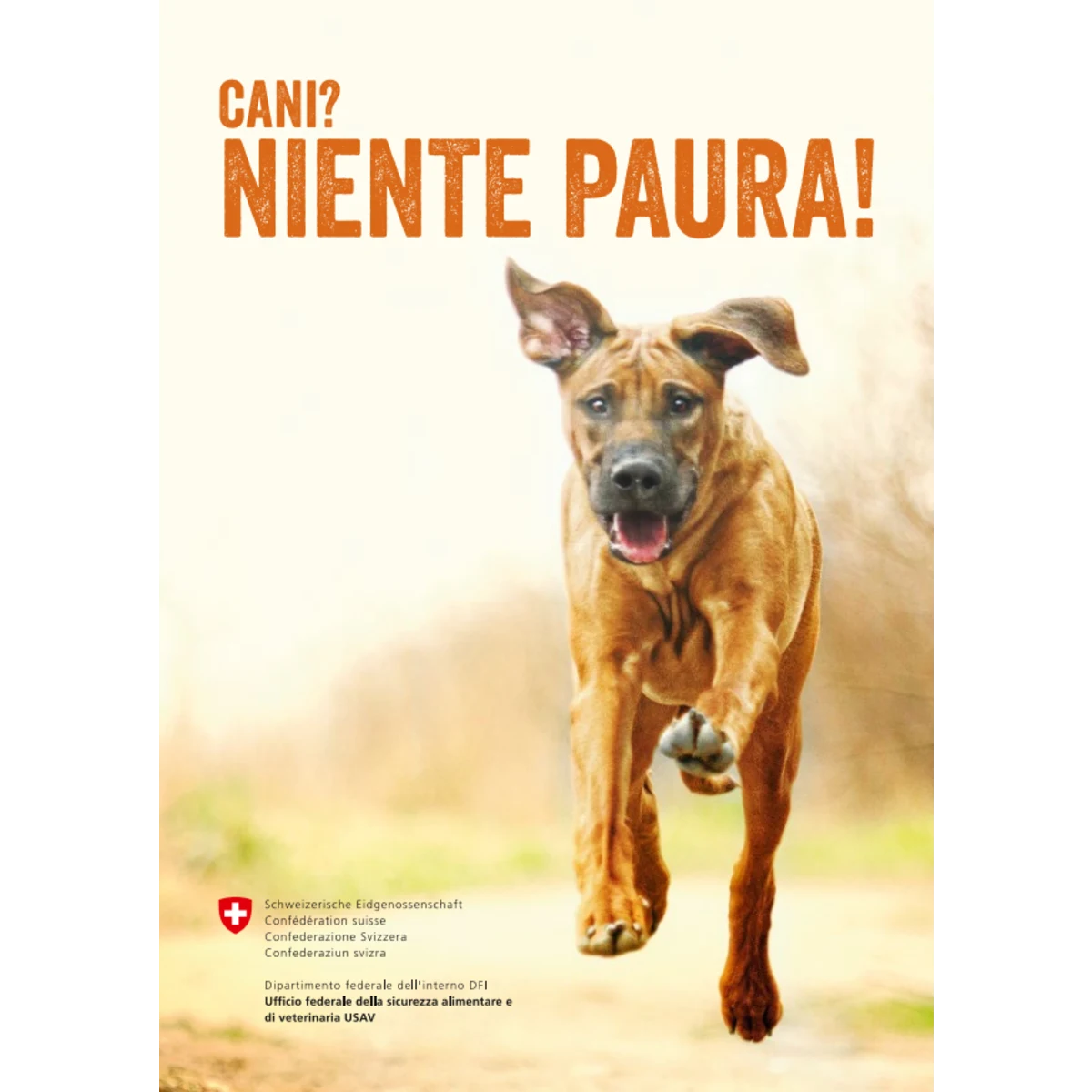 Cani? Niente paura!