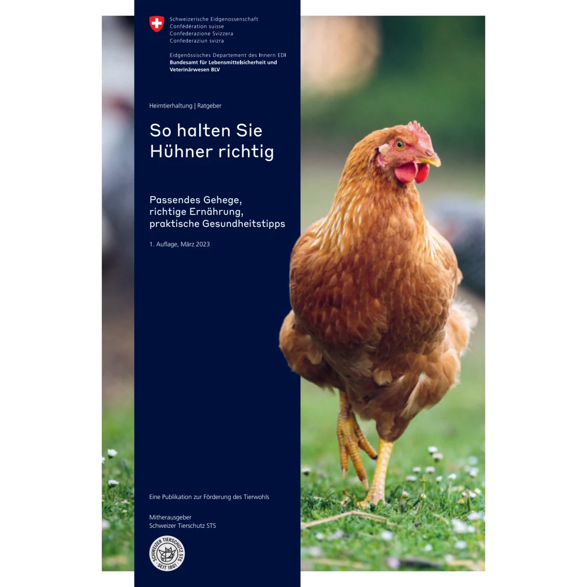 So halten Sie Hühner richtig