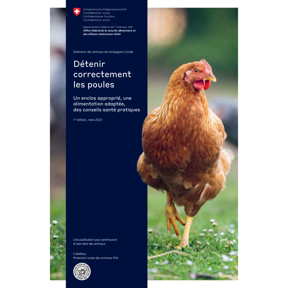 Détenir correctement les poules