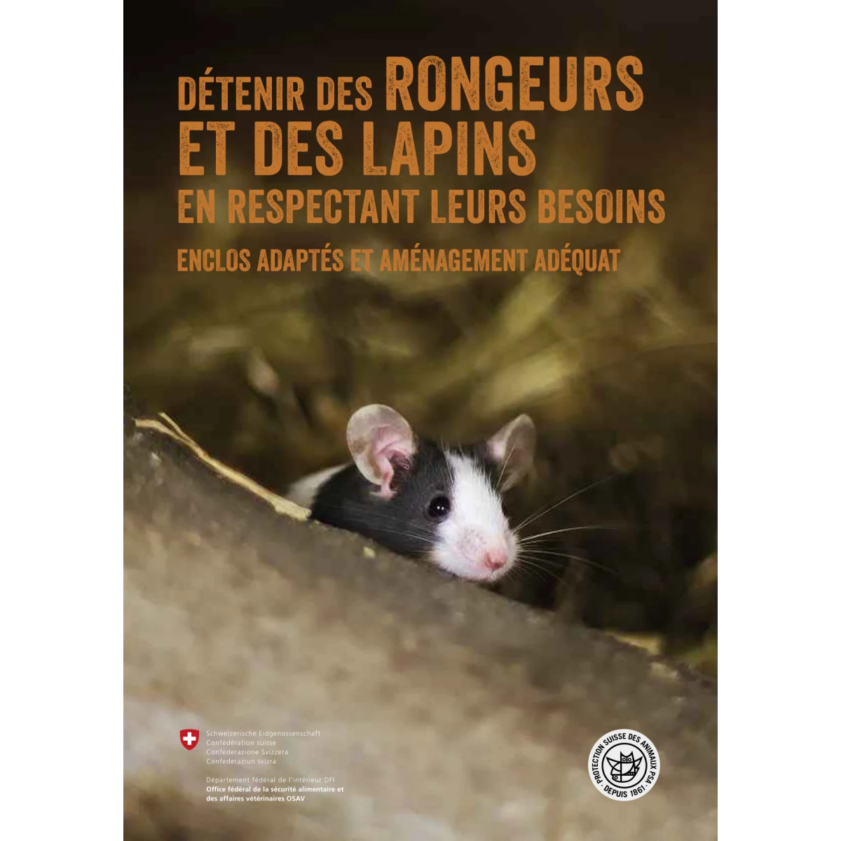 Détenir des Rongeurs et des Lapins