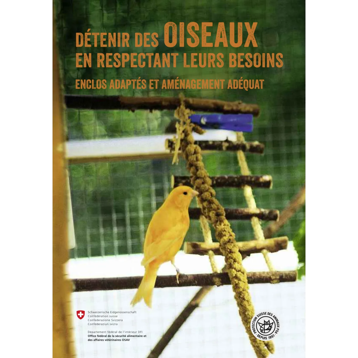 Détenir oiseaux en respectant leurs bes.