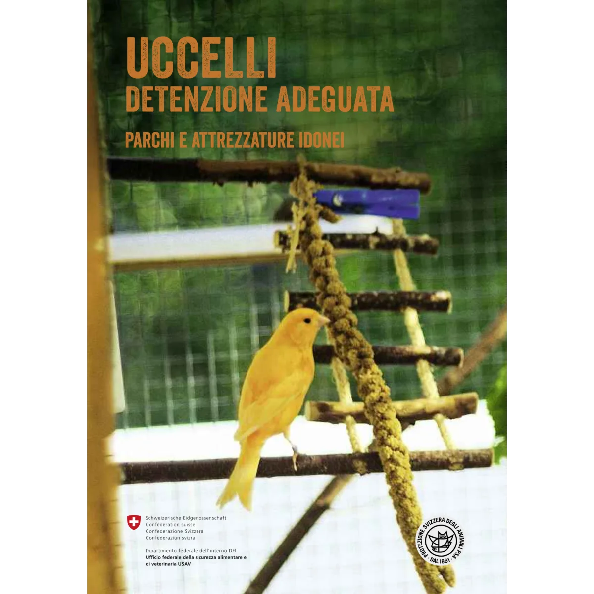 Uccelli - Detenzione adeguata