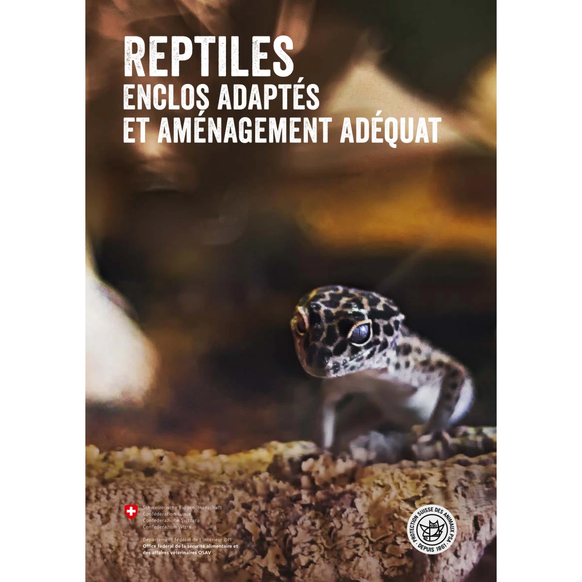 Reptiles enclos adaptés aménagement