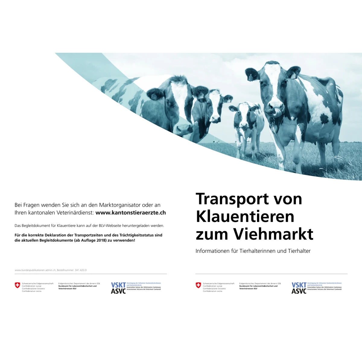 Transport von Klauentieren zum Viehmarkt