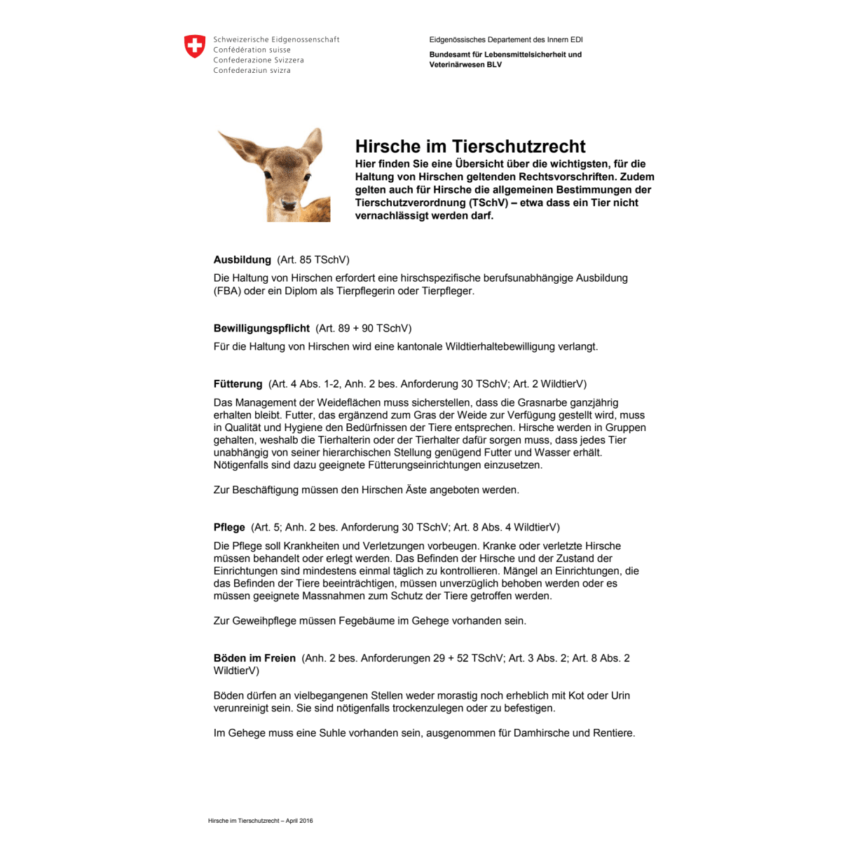 Merkblatt Hirsche im Tierschutzrecht