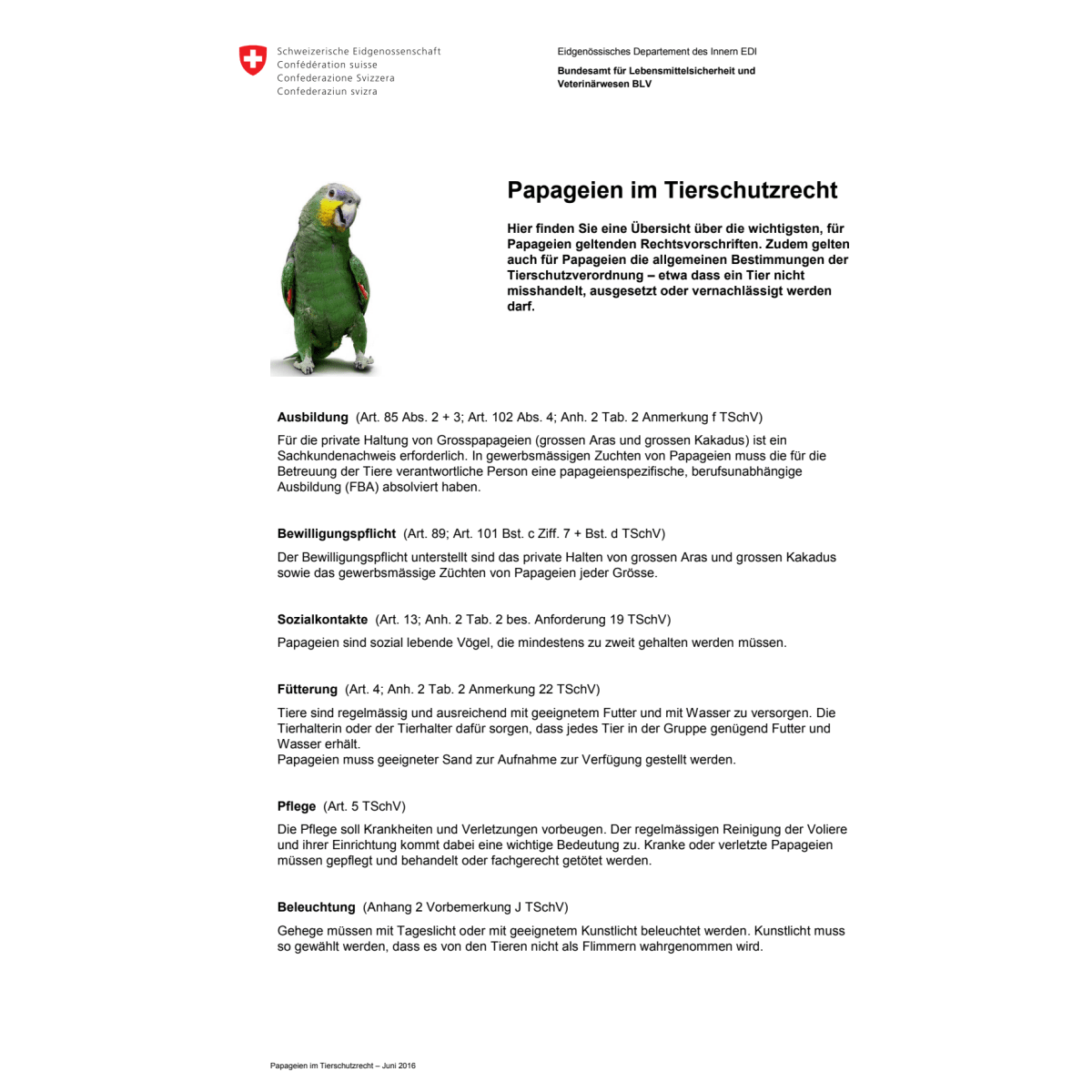 Merkblatt Papageien im Tierschutzrecht