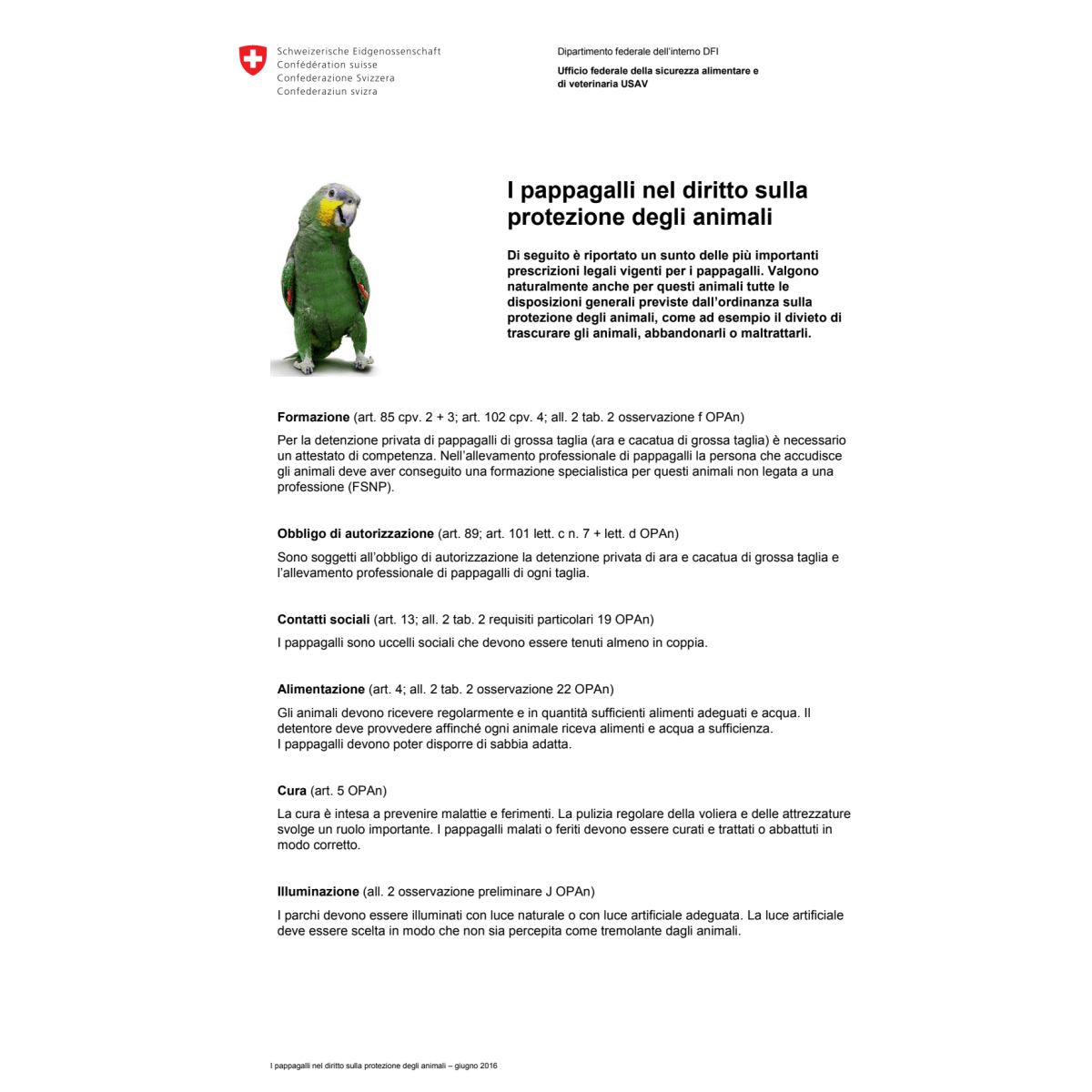 Promemoria I pappagalli nel diritto