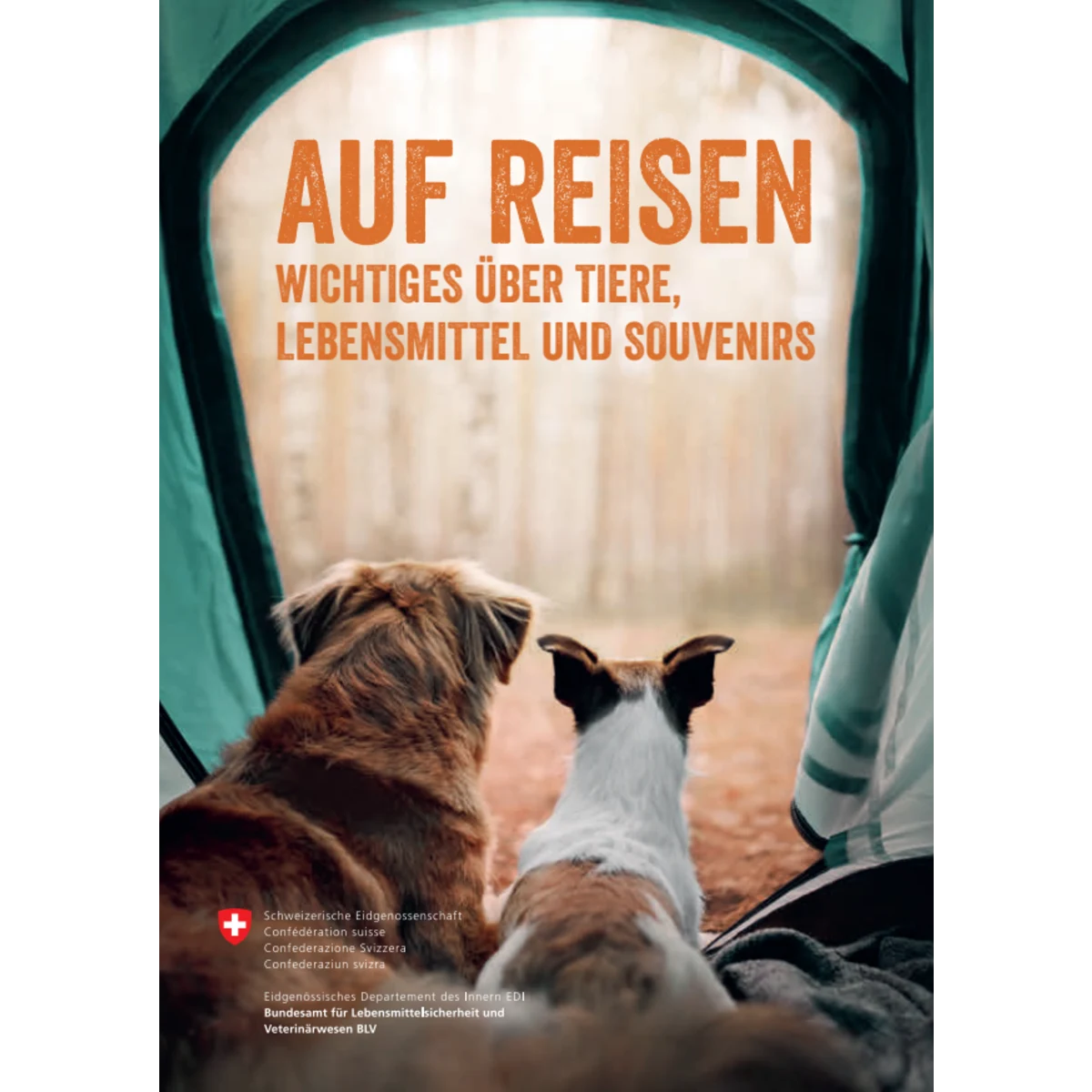 Auf Reisen - Wichtiges über Tiere