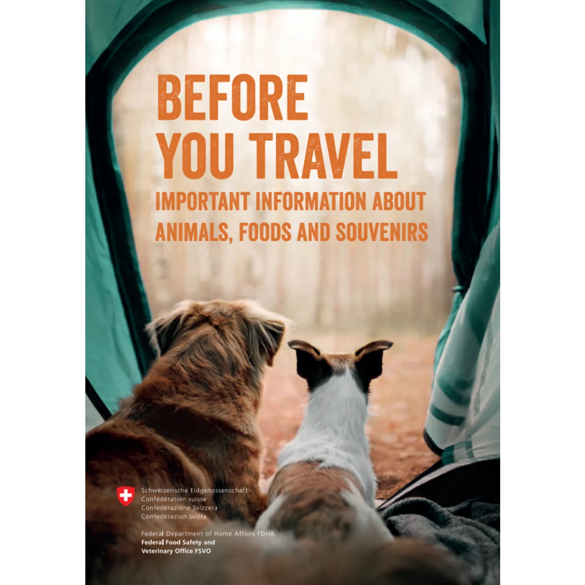 Before you travel