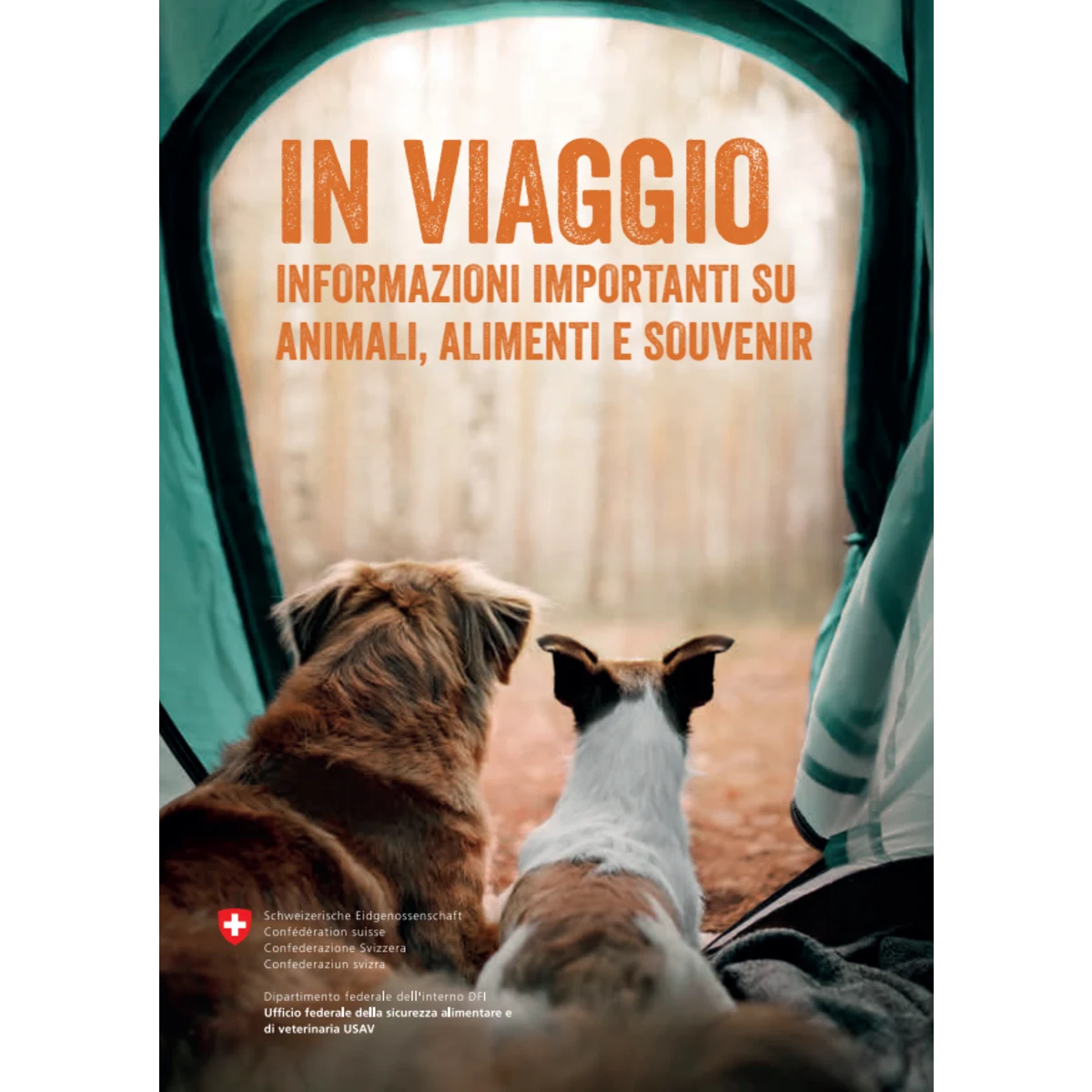 In viaggio con animali: vademecum