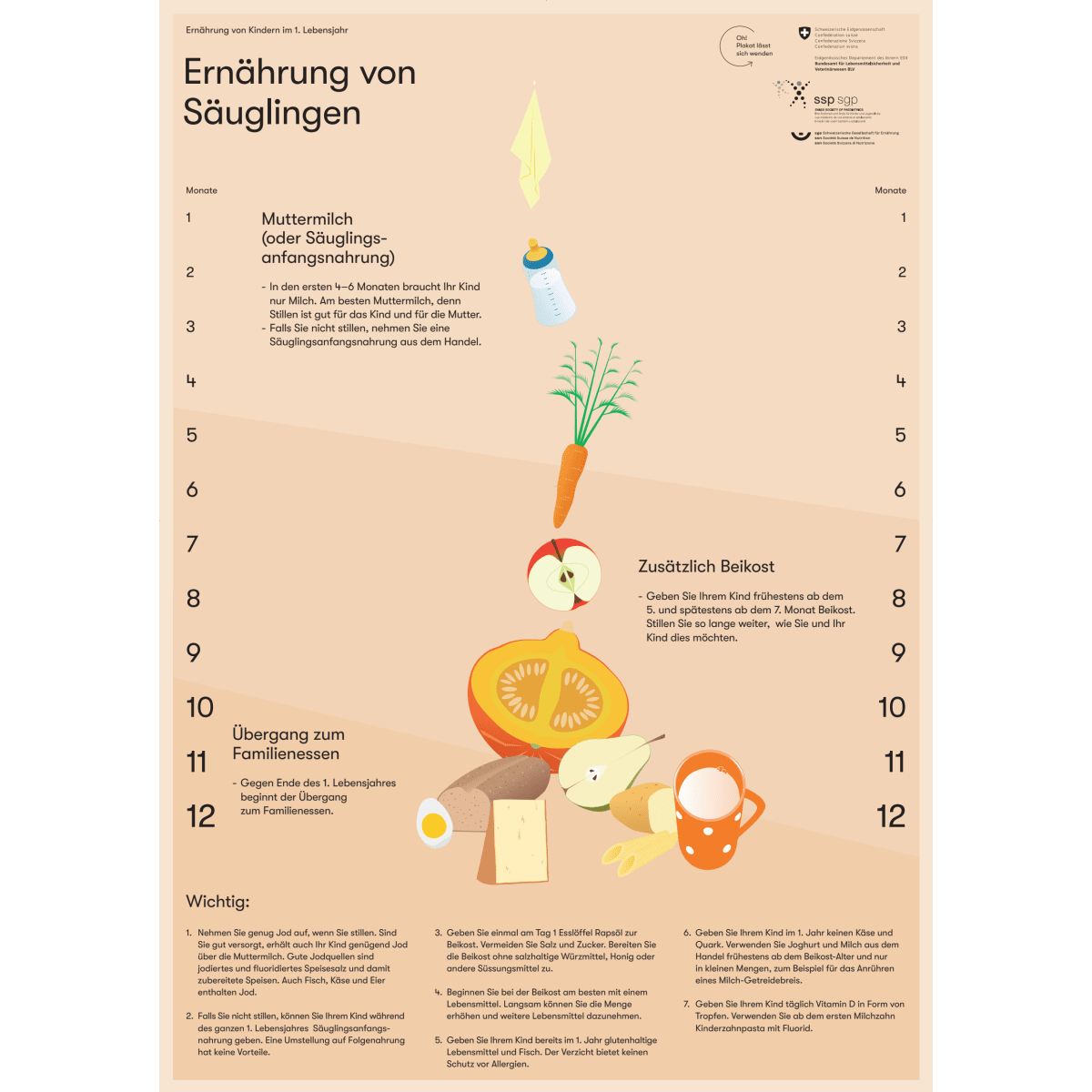 Ernährung von Säuglingen und Kleinkinder