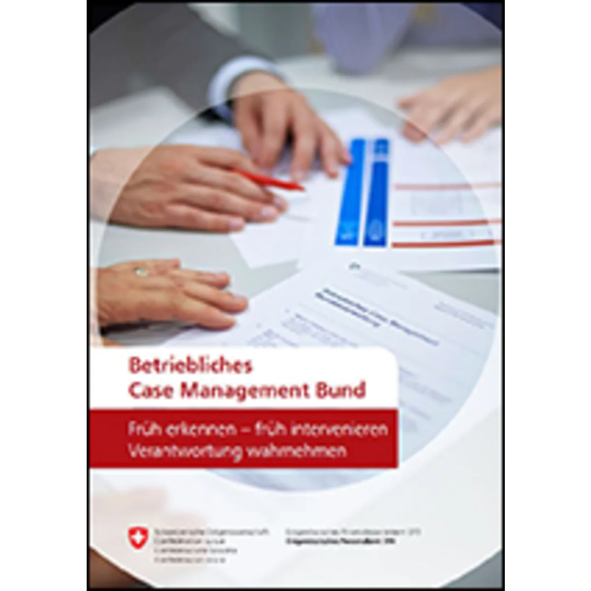 Betriebliches Case Management Bund