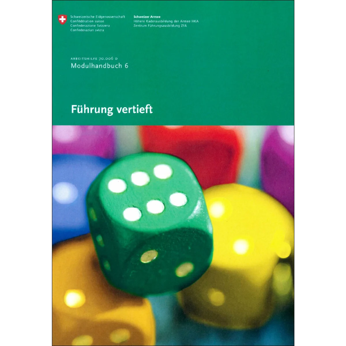Modulhandbuch 6 - Führung vertieft