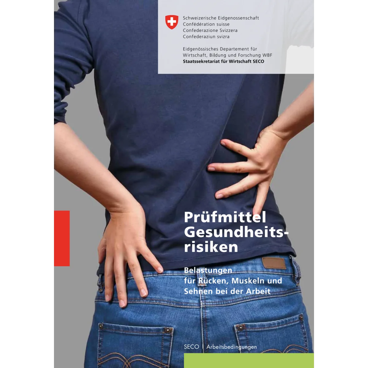 Prüfmittel Gesundheitsrisiken