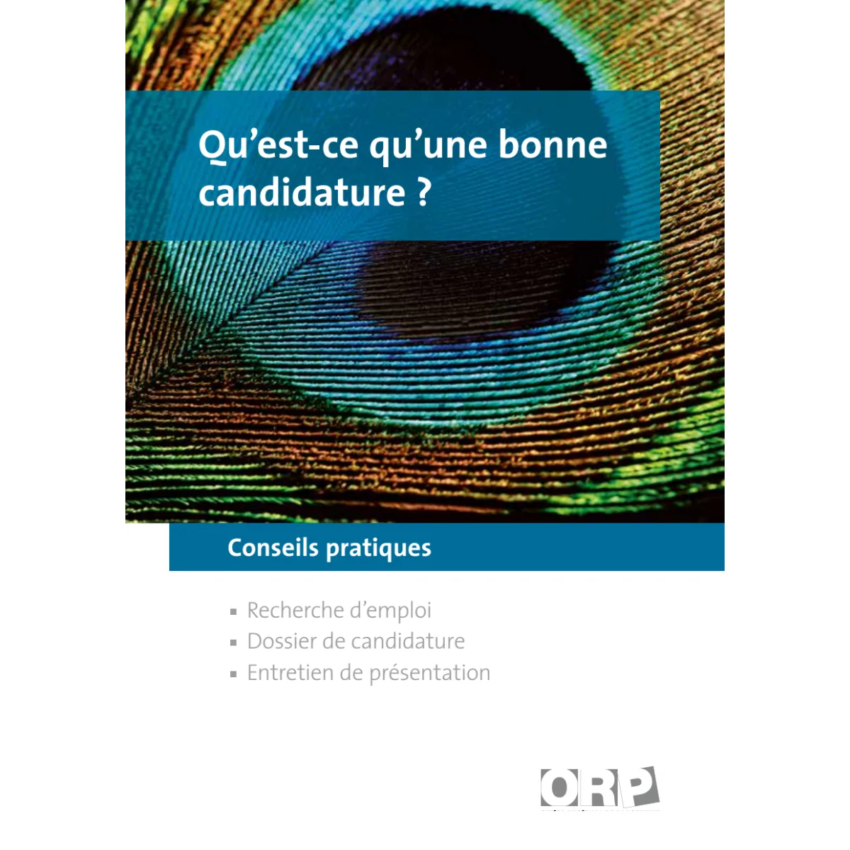 Qu'est-ce qu'une bonne candidature?
