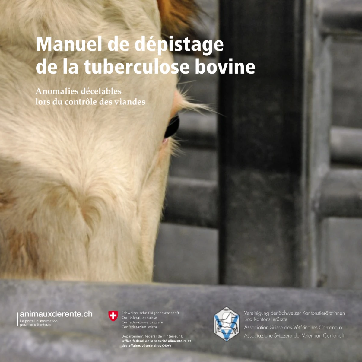 Manuel de la tuberculose bovine