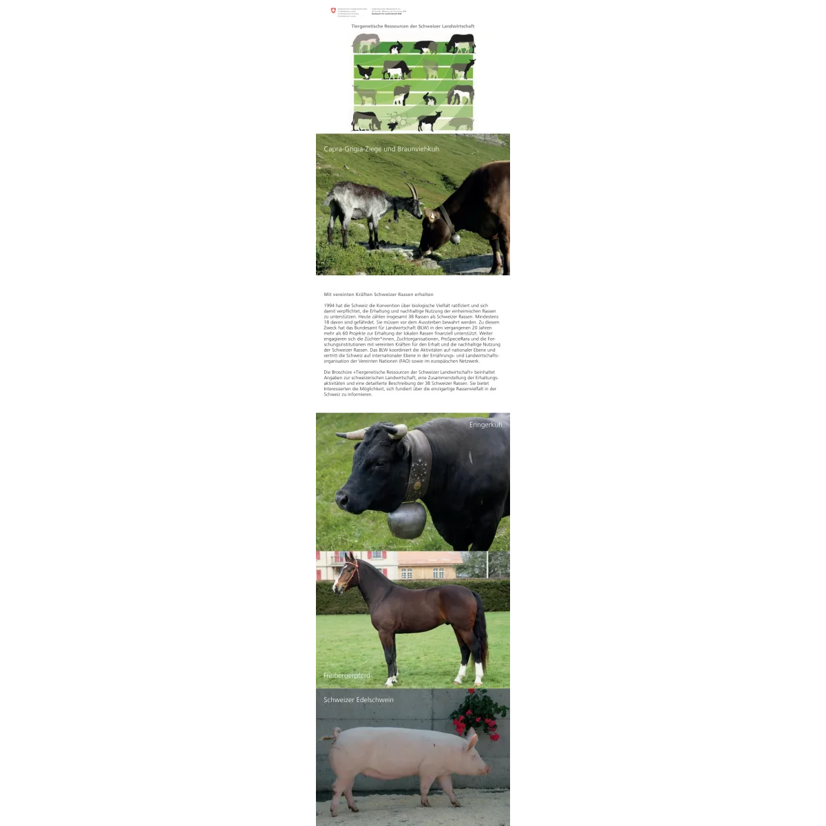 Tiergenetische Ressourcen Schweiz.Landw.