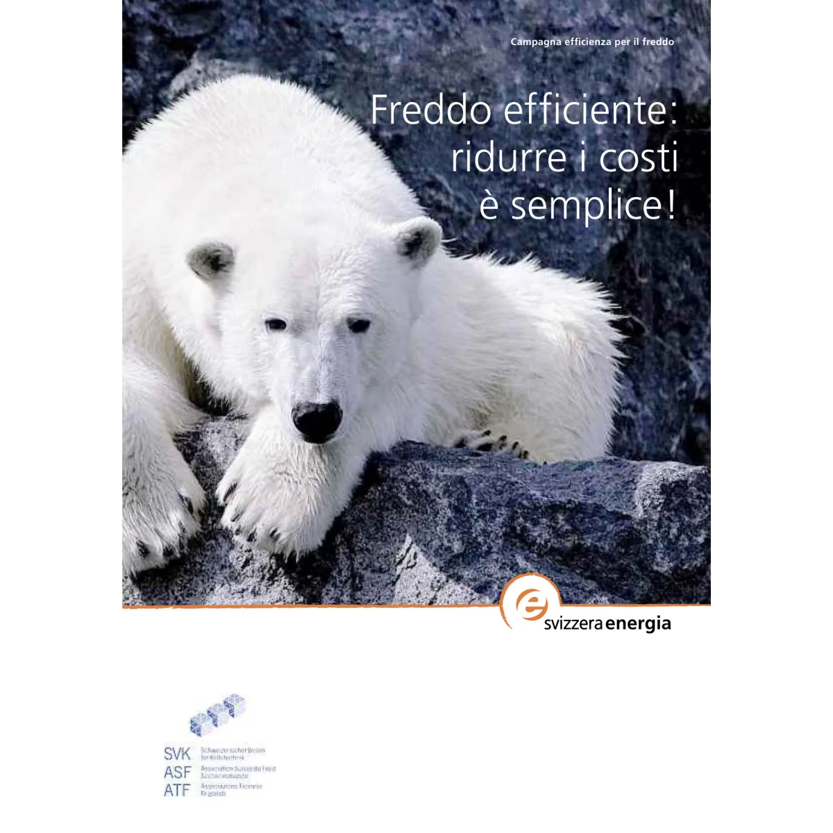 Freddo efficiente: ridurre i costi