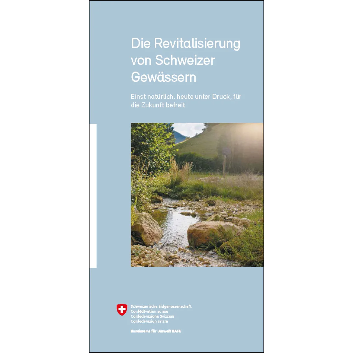 Revitalisierung von Schweizer Gewässern