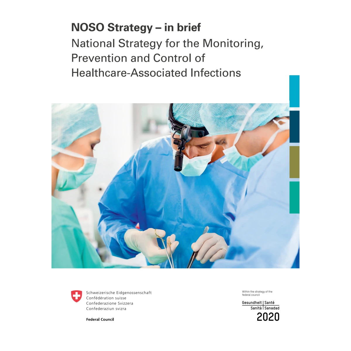 NOSO Strategy - in brief