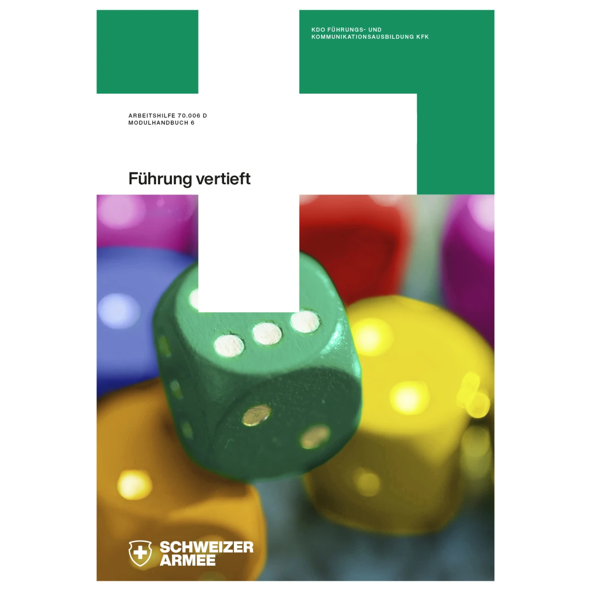 Modulhandbuch 6 - Führung vertieft