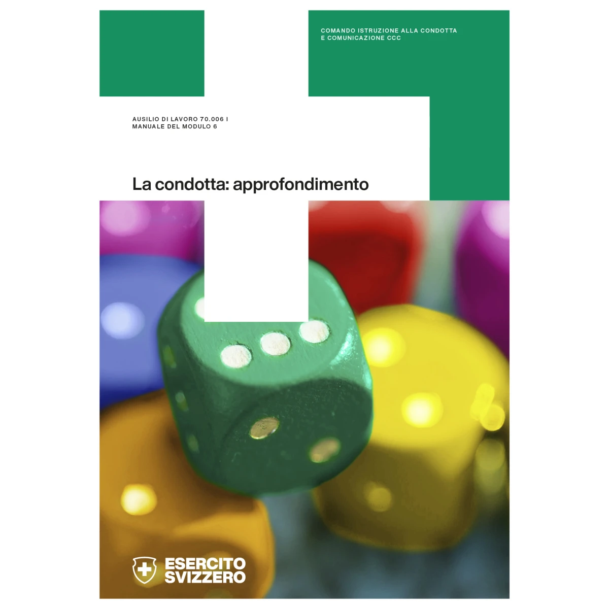 Manuale del modulo 6 -La Condotta approf