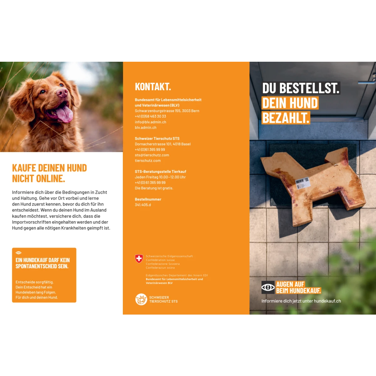 Verantwortungsvoller Hundekauf Flyer