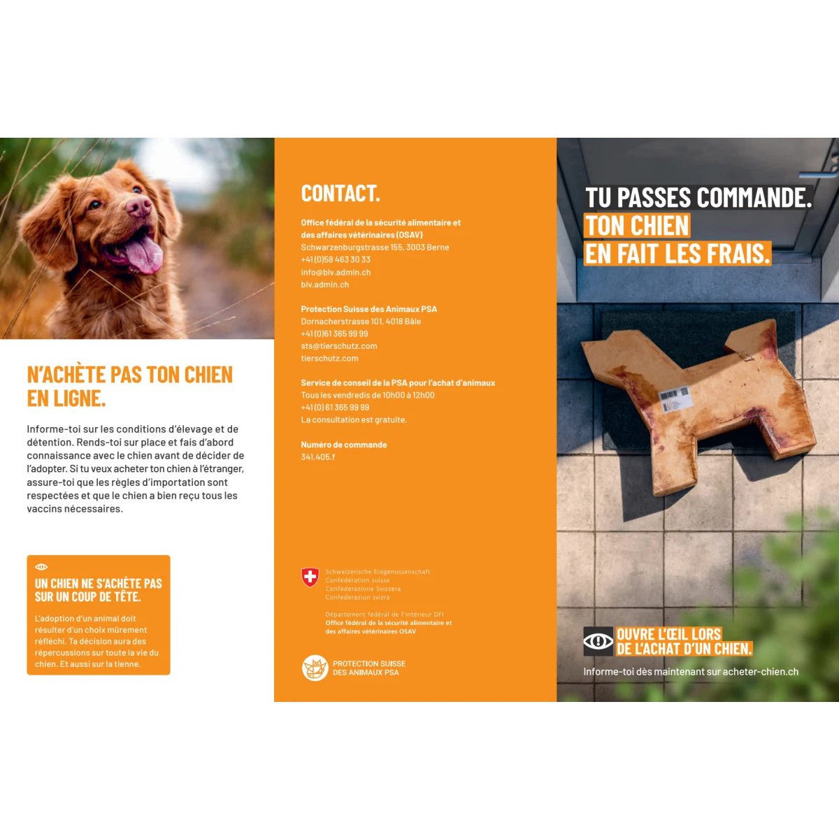 Achat responsable de chiens flyer