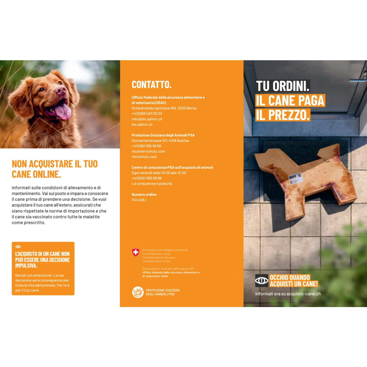 Acquisto responsabile di cani flyer